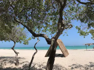 KITEADVENTURE COLOMBIA | KITESURFING SCHOOL | MAYAPO , LA GUAJIRA , COLOMBIA