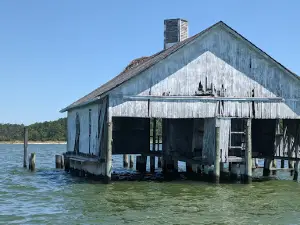 Wake Beach