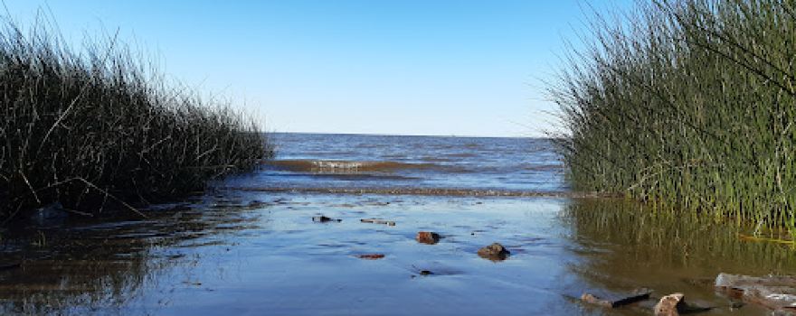 Paraná y el Río
