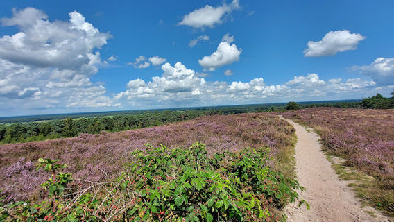 Sightseeing point Archemerberg
