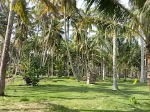 Pantai Tanjung Setia Krui Lampung