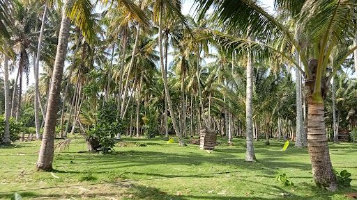 Pantai Tanjung Setia Krui Lampung