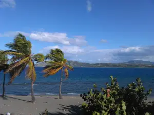 quija quieta Park