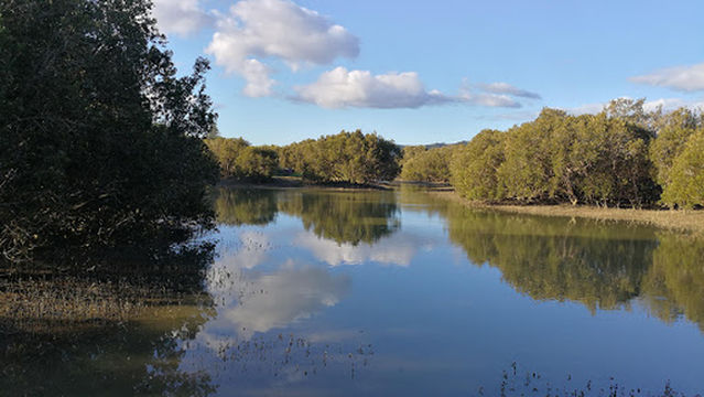 Rawene Mangrove Boardwalk