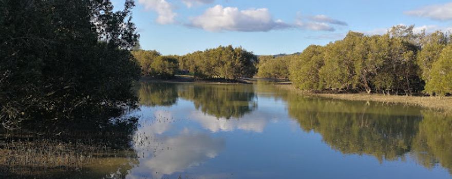 Rawene Mangrove Boardwalk