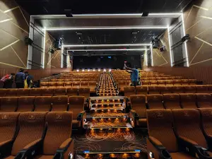 PSS Multiplex
