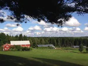 Björnhyltans Trädgård