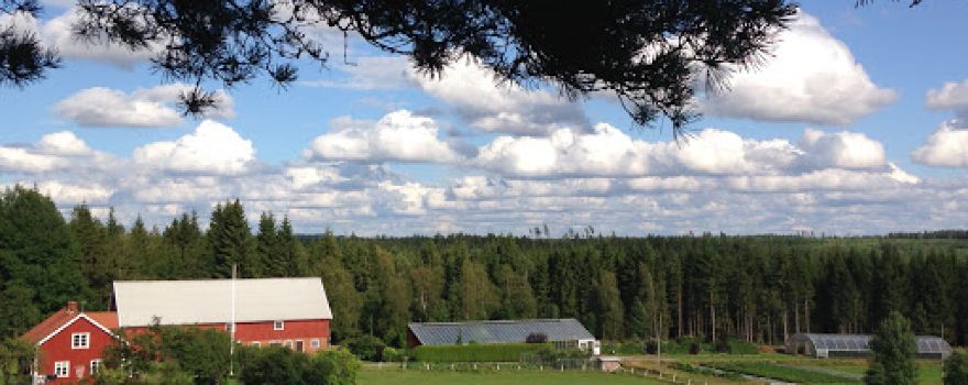 Björnhyltans Trädgård
