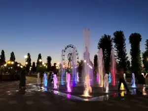 Парк Флерова