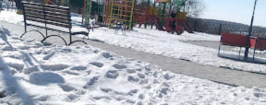 Park