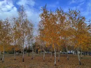 Park Pokolinʹ