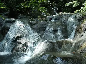 GOA SENGAYAU
