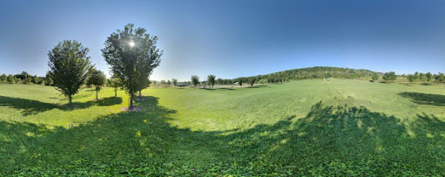 Simmonds Family Dog Park