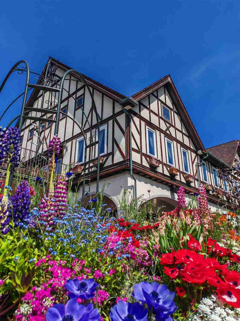 Kobe Nunobiki Herb Gardens