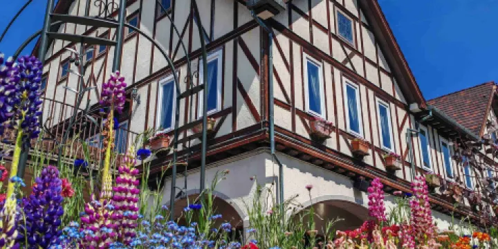 神戶布引香草園