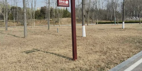 泗河源國家濕地公園-碧草連天