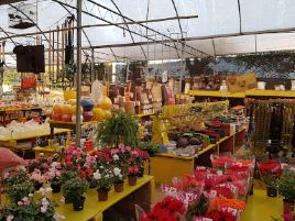 Tropical Garden ABC