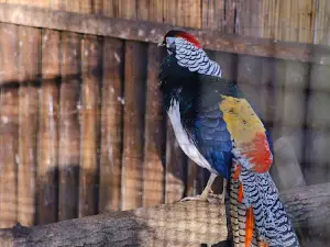 Heimattierpark Südpark Merseburg