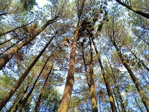 Gunung pancar batu garenggong