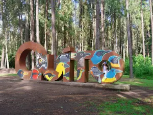 Metropolitano La Armenia Park