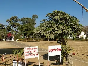 Maa Jwala Dham Shakti Peeth Uchehra