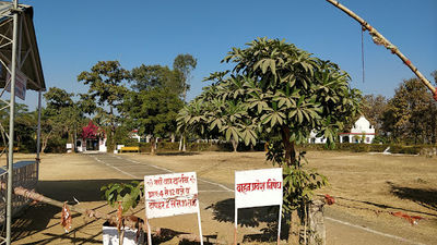 Maa Jwala Dham Shakti Peeth Uchehra