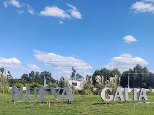 Camping el aromo