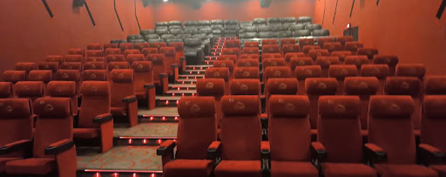Shiv Miniplex