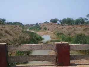 Gosikhurd Right Bank Canal