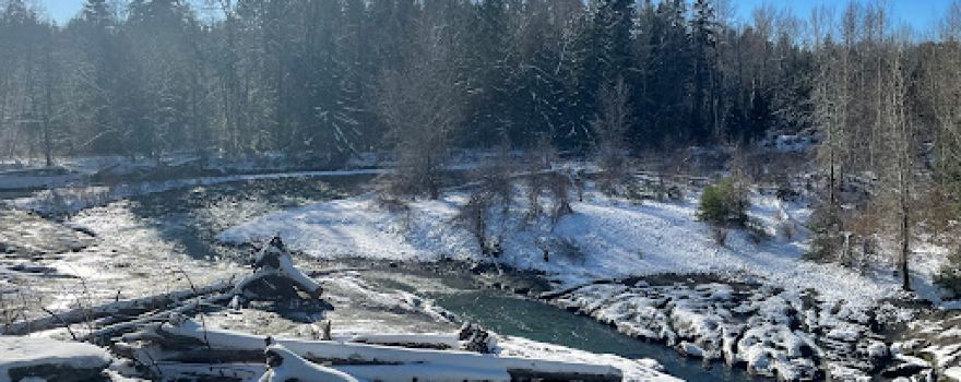Englishman River Regional Park (Top Bridge) - Allsbrook Rd Trailhead