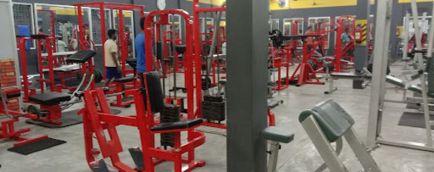 ARNOLD GYM