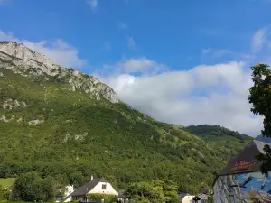 LA FALAISE AUX VAUTOURS