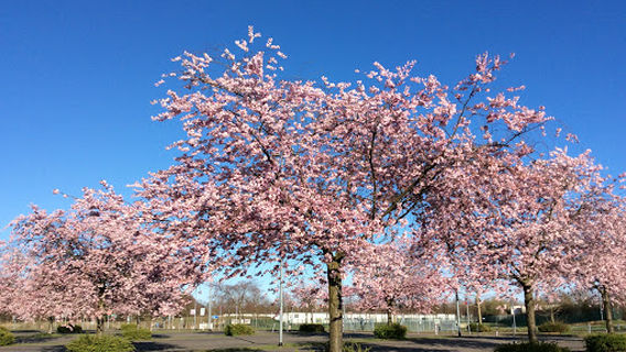 REDBOX am SparkassenPark