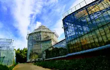 Оранжерея тропических растений Ботанического Сада