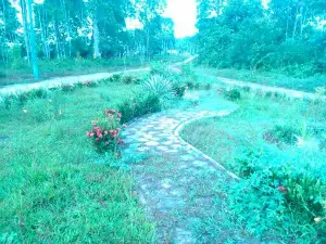 Bosque das Missões