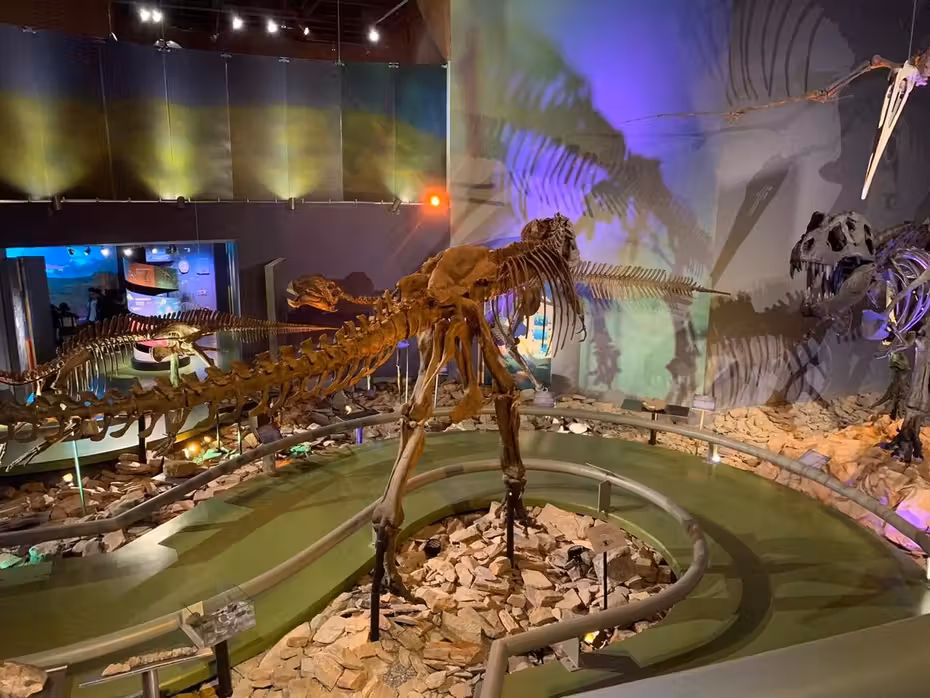 Flüge ${{cityDName}} SALTILLO