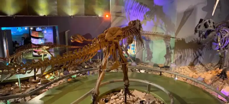 โรงแรมในซัลตีโย