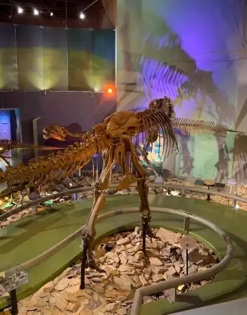 サルティーヨのホテル