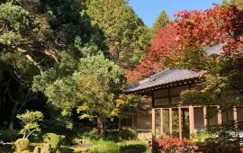 雷山千如寺 大悲王院