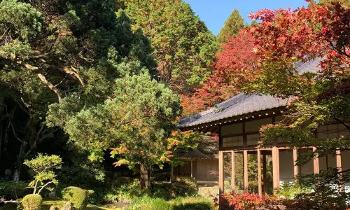 Raizansennyoji Taihioin