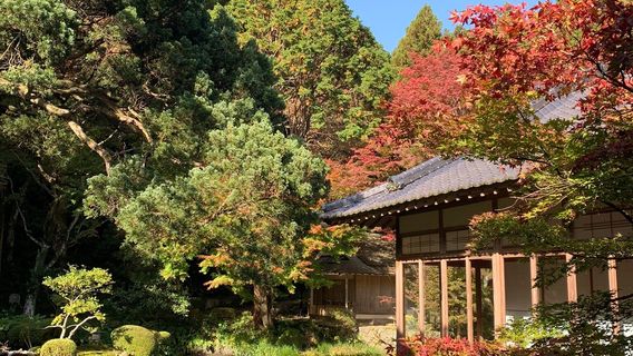 Raizansennyoji Taihioin