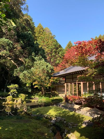 Raizansennyoji Taihioin