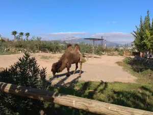 Giardino zoologico Attica
