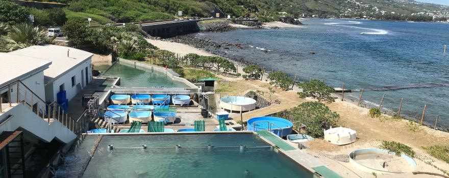 Aquarium of Reunion