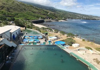 留尼汪島水族館