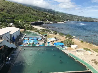Aquarium of Reunion