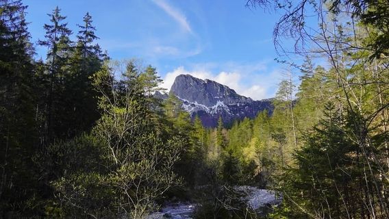 Nationalpark Gesaeuse