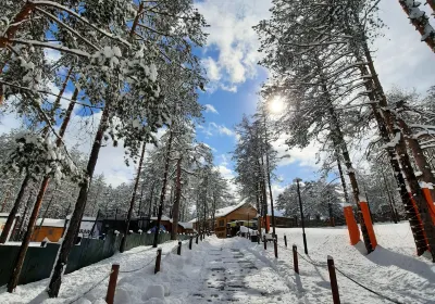 Dino Park