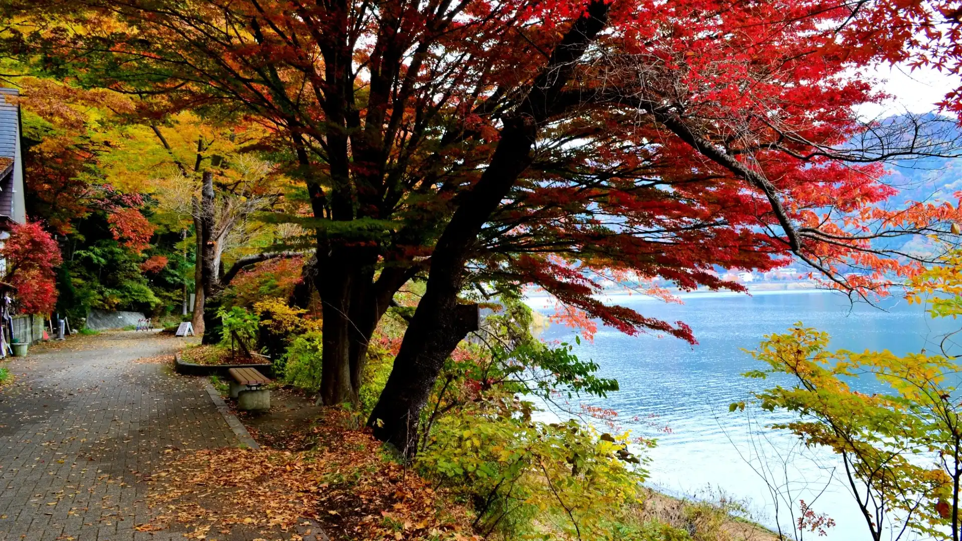 Hotels near Ubuyagasaki Shrine