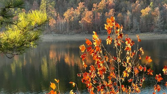 Lake Ouachita State Park